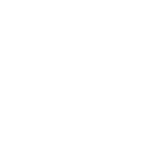 Einbruchdiebstahl